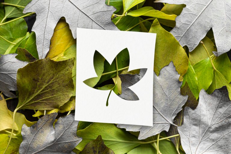 autumn-shapes-with-leaves-concept